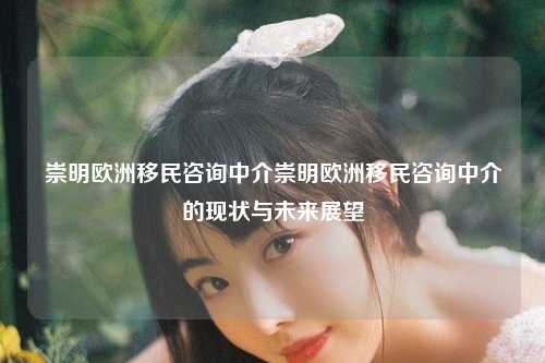 崇明欧洲移民咨询中介崇明欧洲移民咨询中介的现状与未来展望