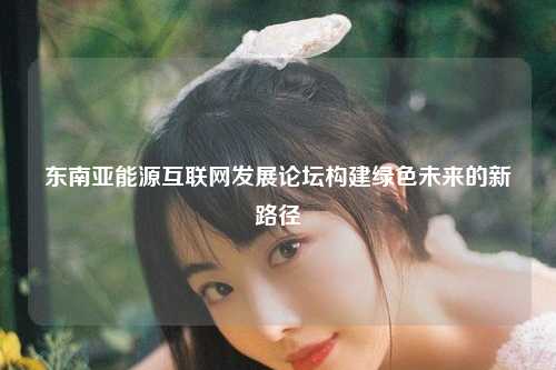 东南亚能源互联网发展论坛构建绿色未来的新路径