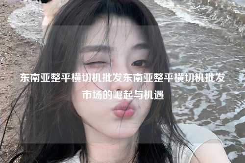 东南亚整平横切机批发东南亚整平横切机批发市场的崛起与机遇