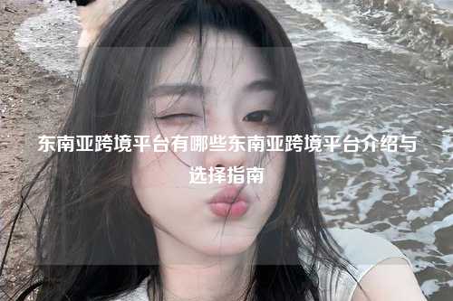 东南亚跨境平台有哪些东南亚跨境平台介绍与选择指南