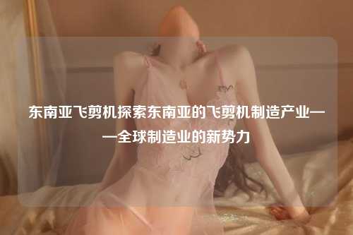 东南亚飞剪机探索东南亚的飞剪机制造产业——全球制造业的新势力