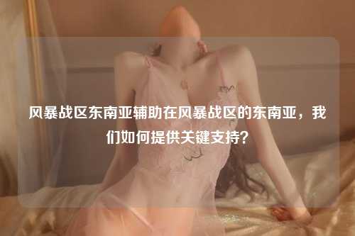 风暴战区东南亚辅助在风暴战区的东南亚，我们如何提供关键支持？